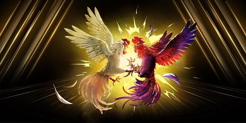 Phân tích chi tiết chọn gà đá như thế nào