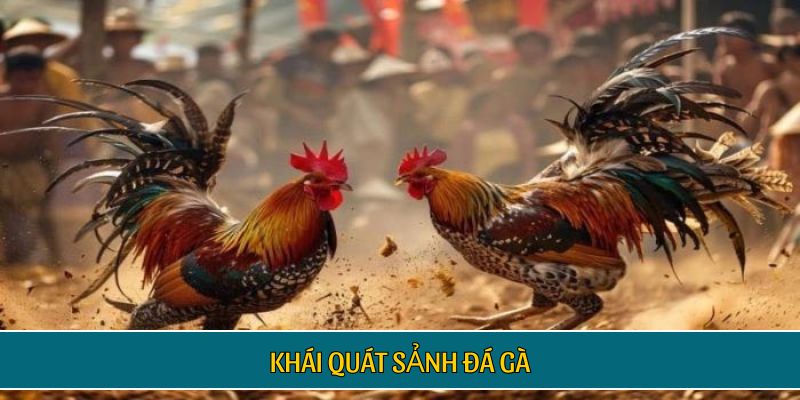 Khái quát sảnh đá gà