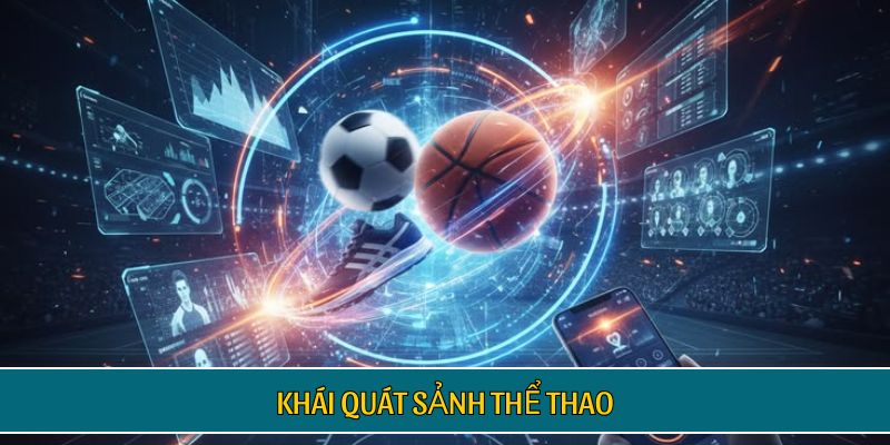 Khái quát sảnh thể thao