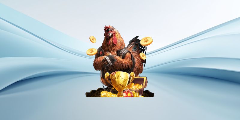Hệ thống livestream ổn định chất lượng cao