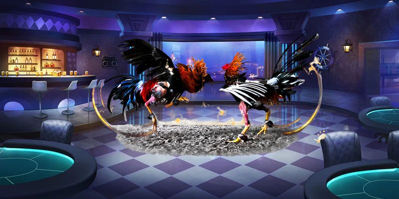 Trải nghiệm xem đá gà Taptap ổn định và rõ nét